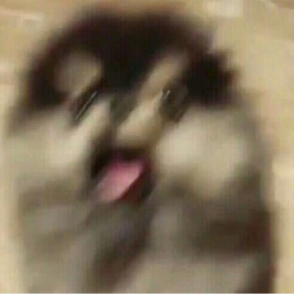 Meet your Posher, Sam - Picture 1 of 1